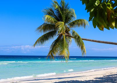 JAMAICA