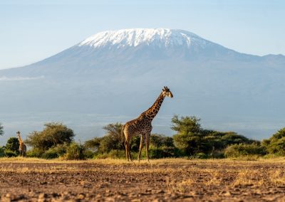 Tanzania